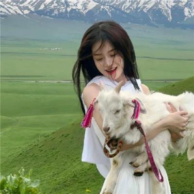 完美星球